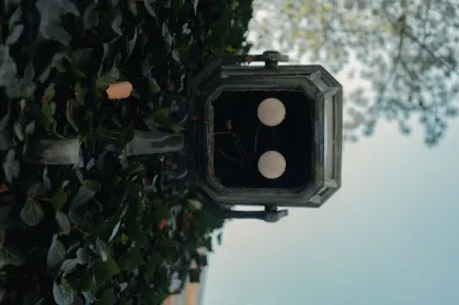 SpinTropolis Kazino Mobilioji programa